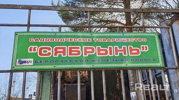 Продается дача в СТ Сябрынь в 3х минутах ходьбы от ЖД станции. - Ansicht 3