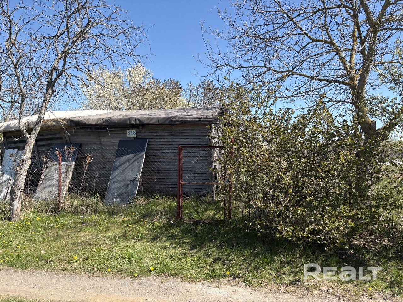Участок 10 соток, расположенный в садовом товариществе "Амкодор-202" в Смолевичском районе, удаленность 29 км от МКАД. Подъезд к участку хороший (гровейка). На участке находи времянка с погребом, туалет (на улице). Есть яблони, сливы, смородина, голубика, грецкий орех, виноград, алыча. От торг. Только звонки! - Widok 3