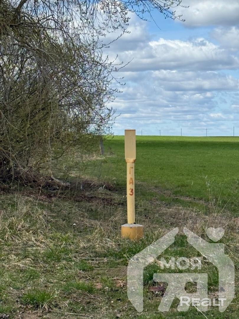  56.1 м2