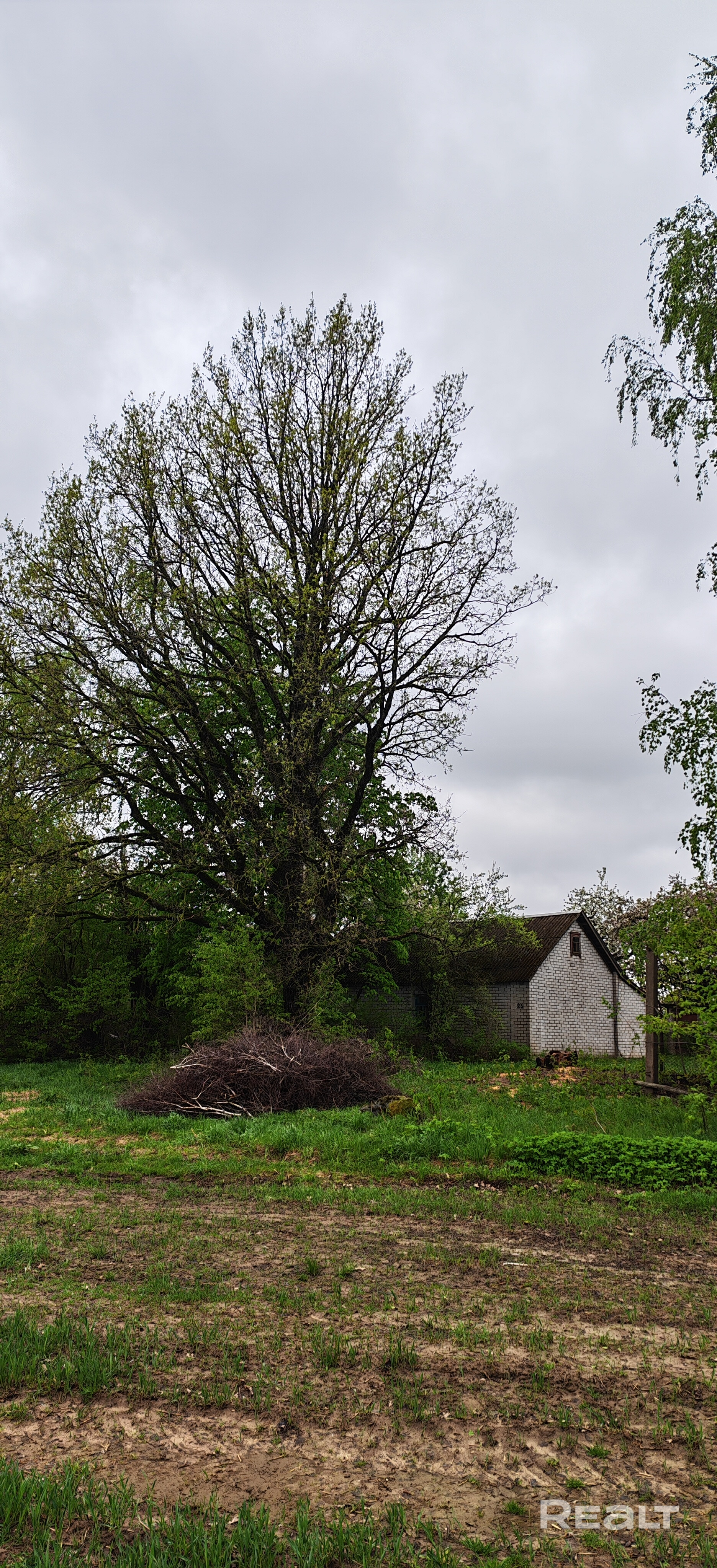 Здравствуйте! Продаю хутор. 1 Га земли в частной собственности! Свет, телефон, вода, котлован под пруд, собственный полувековой дуб, лес с грибами, погреб в виде бомбоубежища, множество деревьев с ягодами и яблоками. Асфальт почти до хутора, собственная въездная алея. Множество утвари достойной музея и прочее. Место невероятной силы! Лучше посмотреть в живую! Без пробок до хутора ровно 50 минут на машине от каменной горки при скорости 100-120 км/ч. Запись на просмотр по номеру телефона!! - Widok 4