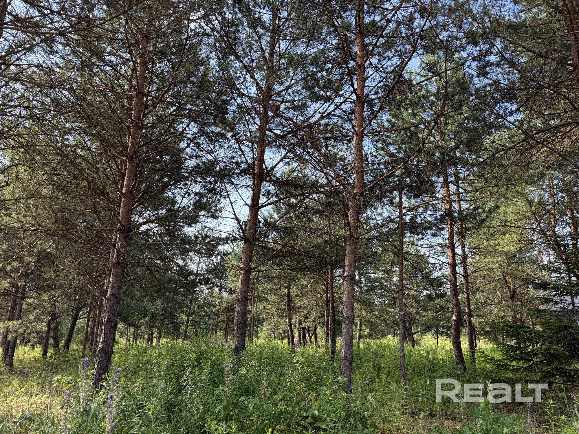 В продаже 2 дома — уникальное предложение: два смежных участка по 15 соток (общая площадь 30 соток) с готовыми домами в архитектурном стиле «барнхаус». - Ansicht 3