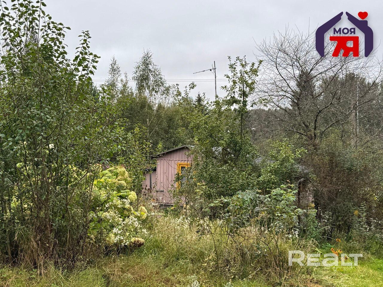 Земельный участок 9 соток с домиком у леса в 48 км от МКАД - Ansicht 6