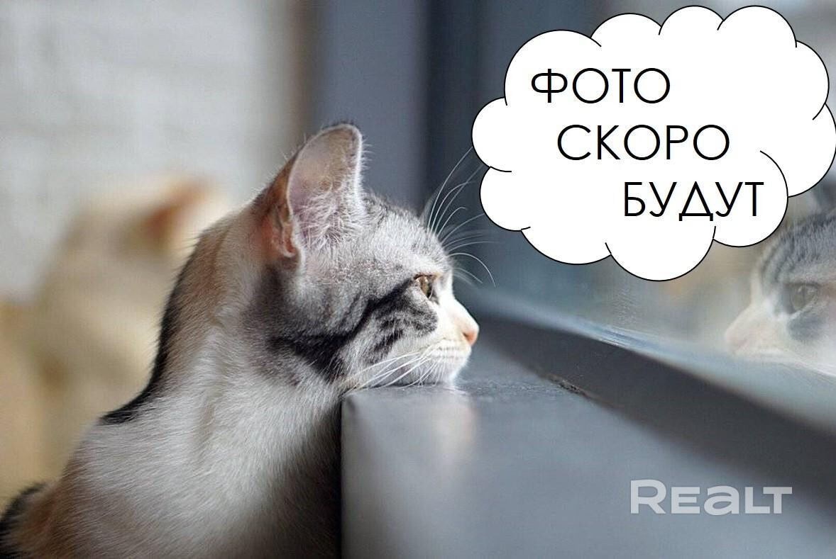 Полдома в Ратомке, 6 км от МКАД, участок - Widok 5