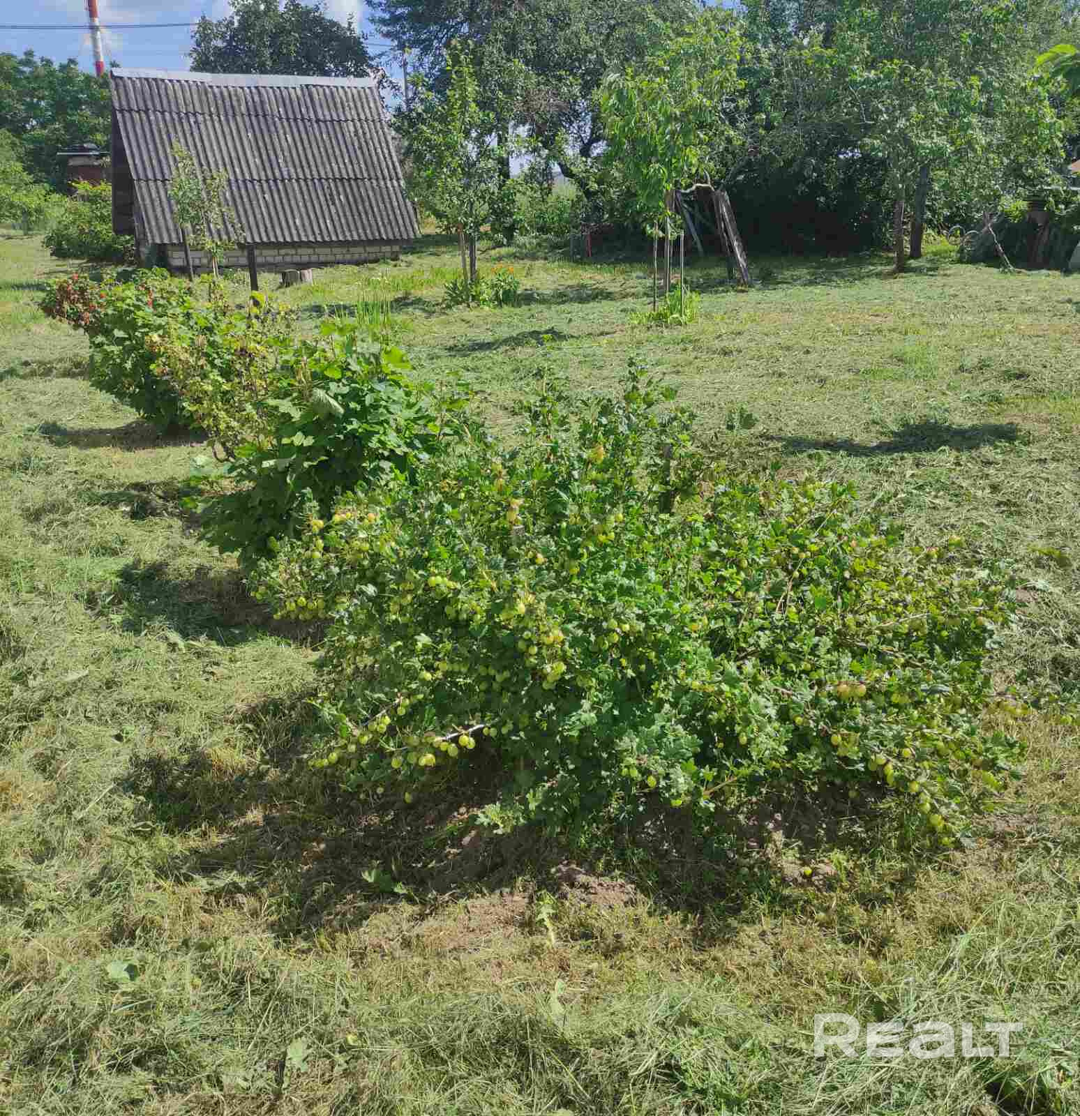 Продаю 2/3 доли в благоустроенном частном доме (доли в натуре не выделены) в живописном агрогородке Чуриловичи. Всего 9,4 км от МКАД по Слуцкому шоссе – 15 минут до города и полное спокойствие загородной жизни. Участок 25 соток, дом 62,6 м², 2019 г. постройки, обложен кирпичом. Есть водопровод, канализация, к дому подведена труба с газом + готов проект. Рядом парк, школа, магазины. В доме живет собственник 1/3 (уведомлен), порядок пользования обсуждаем. Чистая продажа. Показ по договоренности. - Ansicht 3