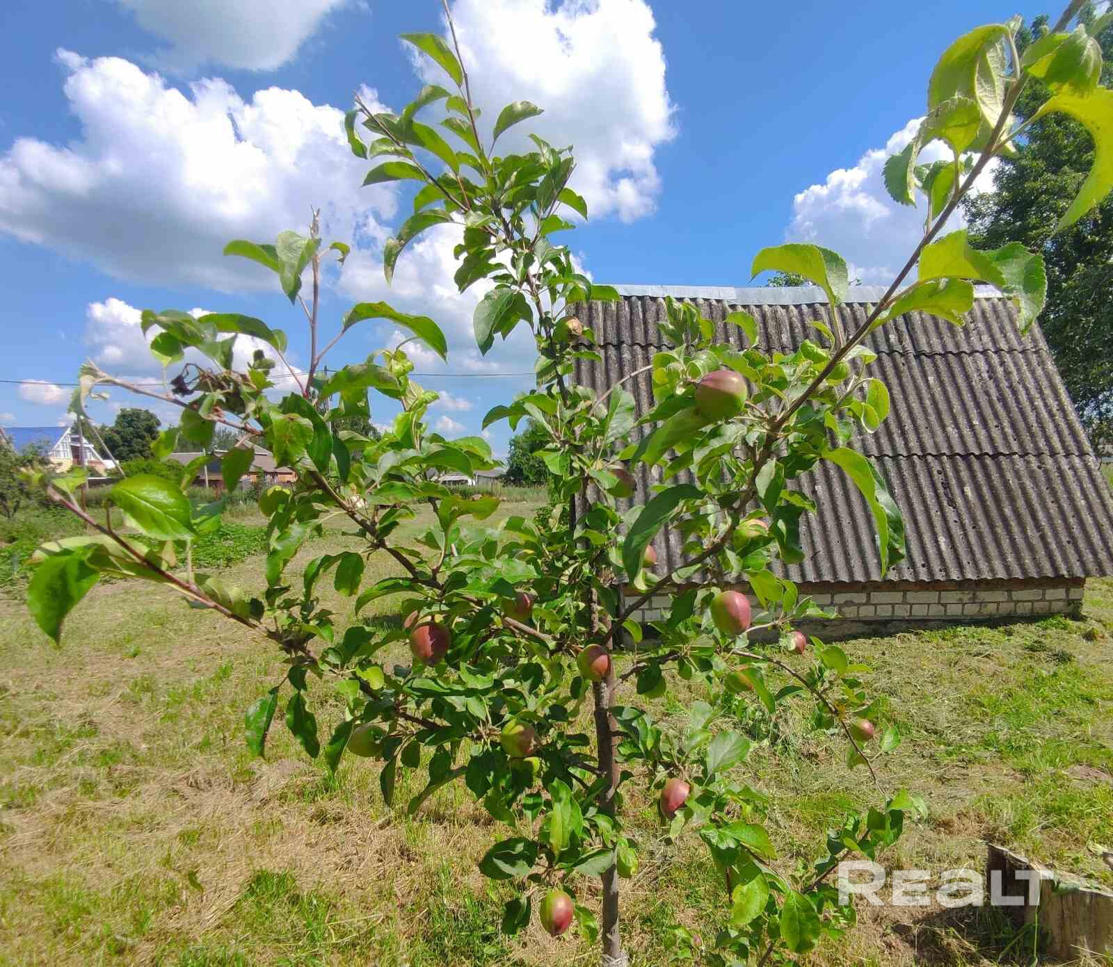 Продаю 2/3 доли в благоустроенном частном доме (доли в натуре не выделены) в живописном агрогородке Чуриловичи. Всего 9,4 км от МКАД по Слуцкому шоссе – 15 минут до города и полное спокойствие загородной жизни. Участок 25 соток, дом 62,6 м², 2019 г. постройки, обложен кирпичом. Есть водопровод, канализация, к дому подведена труба с газом + готов проект. Рядом парк, школа, магазины. В доме живет собственник 1/3 (уведомлен), порядок пользования обсуждаем. Чистая продажа. Показ по договоренности. - Ansicht 5