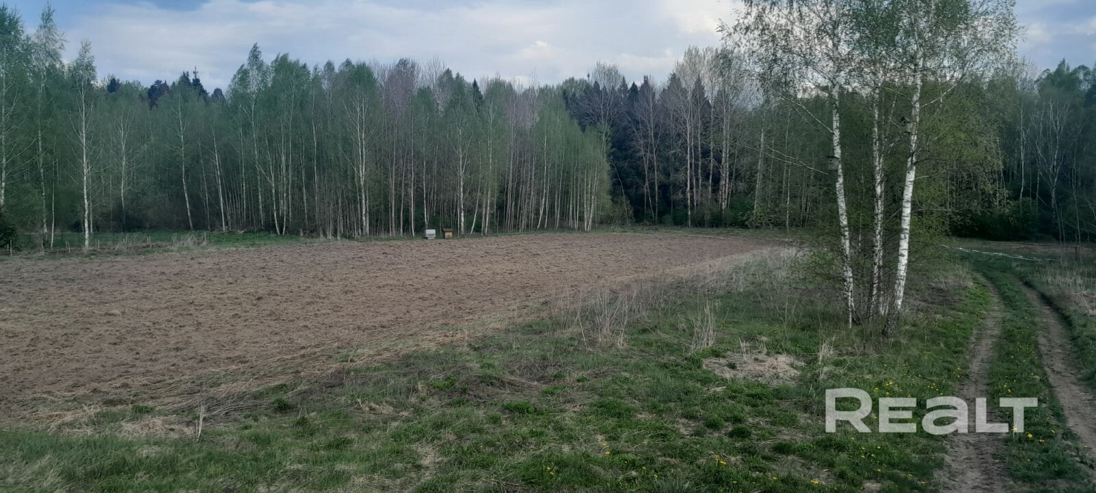 Идеальный и большой (35 соток) участок для тихой жизни или организации агроэкотуризма. Тупиковый, примыкает к лесу и березовой рощице. Тихие и хорошие соседи только с одной стороны. Рядом озеро каменка с благоустроенным пляжем и натурной площадкой "Беларусьфильм". В услугах агентсв не нуждаемся. - Ansicht 4