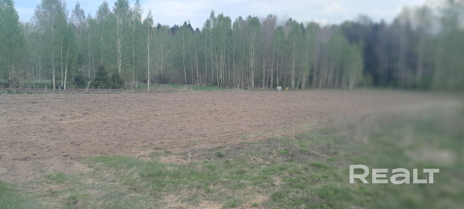 Идеальный и большой (35 соток) участок для тихой жизни или организации агроэкотуризма. Тупиковый, примыкает к лесу и березовой рощице. Тихие и хорошие соседи только с одной стороны. Рядом озеро каменка с благоустроенным пляжем и натурной площадкой "Беларусьфильм". В услугах агентсв не нуждаемся. - Ansicht 5