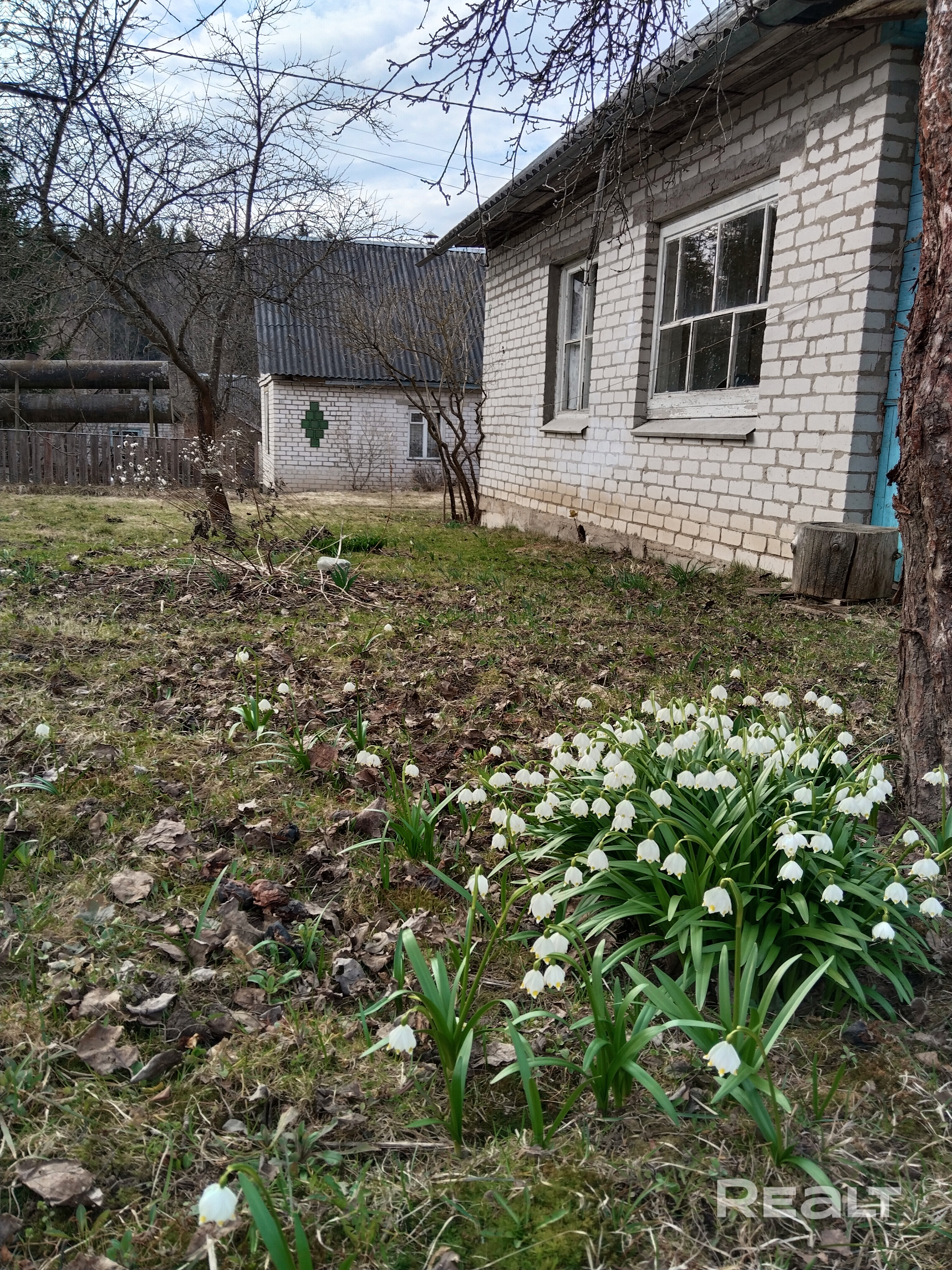 Дача, 51.3м.кв., 3 комнаты, веранда, кирпич, печь, электроэнергия, сез. вода на участке, 30 км от МКАД, Гродненское, Молодечненское направление, 30мин. от станции электрички Радошковичи. Место тихое, экологически чистое, живописное. Вокруг, лес с грибами, ягодами, лекарственными растениями. На территории 2 водоема, площадка для спорта. Участок 5 соток, ровный, сад с плодовыми деревьями и кустарниками. Отличное место для отдыха, можно сделать ремонт и использовать под постоянное жилье. - Ansicht 3