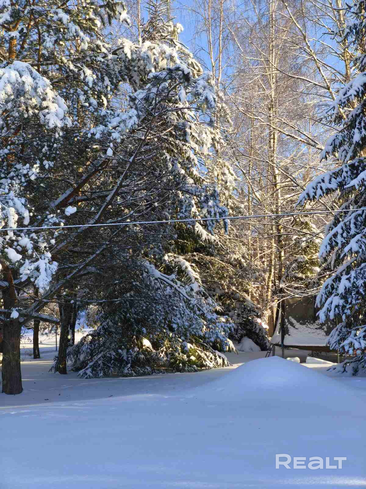 Домик за городом со своим грибным лесом,залит второй фундамент 5,75*8,1,есть небольшой сад(яблони,черешни,вишни,шелковица,виноград,грецкий орех),аллея туй. Парковка на 2 авто,посажен газон,есть несколько высоких грядок с клубникой и под зелень,детский домик на дереве с тарзанкой.Огорожен. Скважина 30 метров с чистой водой. Бойлер.душ и туалет в пристройке за домом,подключена стиральная машина. Летняя веранда.Больше фото по запросу.Недалеко озеро, - Ansicht 4