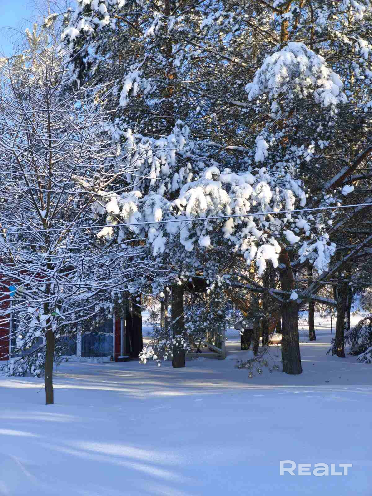 Домик за городом со своим грибным лесом,залит второй фундамент 5,75*8,1,есть небольшой сад(яблони,черешни,вишни,шелковица,виноград,грецкий орех),аллея туй. Парковка на 2 авто,посажен газон,есть несколько высоких грядок с клубникой и под зелень,детский домик на дереве с тарзанкой.Огорожен. Скважина 30 метров с чистой водой. Бойлер.душ и туалет в пристройке за домом,подключена стиральная машина. Летняя веранда.Больше фото по запросу.Недалеко озеро, - Ansicht 5