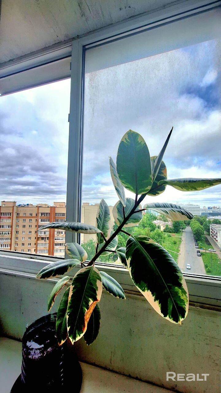 Продаётся просторная 3-комнатная квартира (83.4 м² по СНБ) на ул. Розы Люксембург, 143. - Mehr