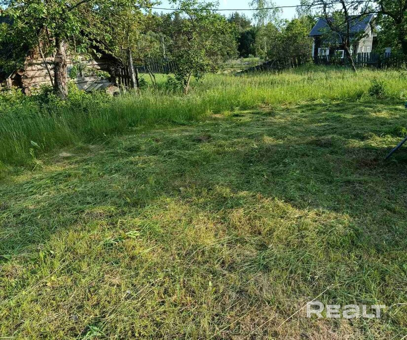 Продается участок 17 соток в д. Черневка 40 км. от Борисова - Vedere 3