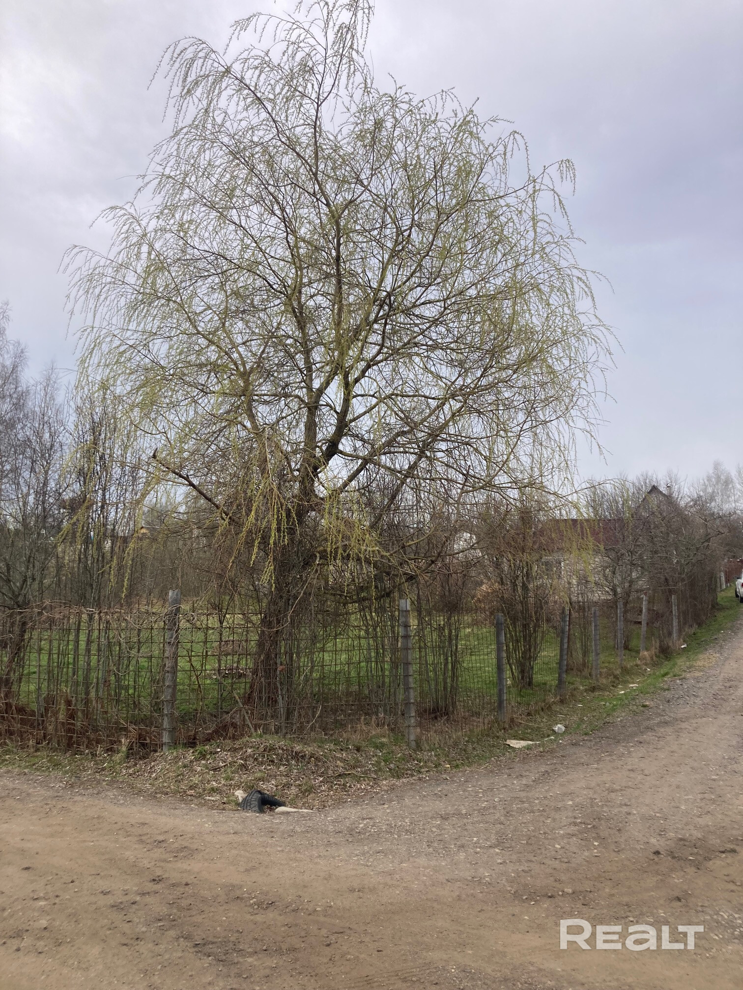 Продается дача недалеко от Минска - 18 км по Раковскому шоссе в СТ "Родник-5", большой ровный участок 10 соток, рядом небольшой водоем, есть сезонная вода и электричество. Туалет на улице, хозпостройки, плодовые деревья. - Ansicht 5