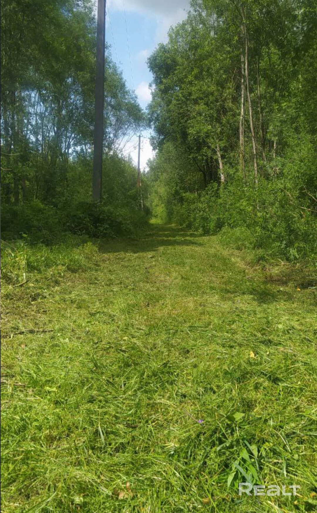 Прекрасное место для постройки дома. Рядом н.п. Руденск и Дружный (город спутник). В Дружном вся инфраструктура:школы, сады, магазины, поликлиника, почта, Дом культуры, тренажёрный зал и т. д. Рядом Материнское озеро. Въезд на участок отдельный, на краю садового товарищества. - Widok 4