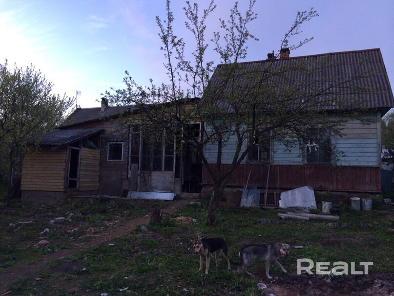11лет никто не занимался. торг ,продаю срочно, есть сарай баня ,но в запущенном состоянии - Ansicht 2