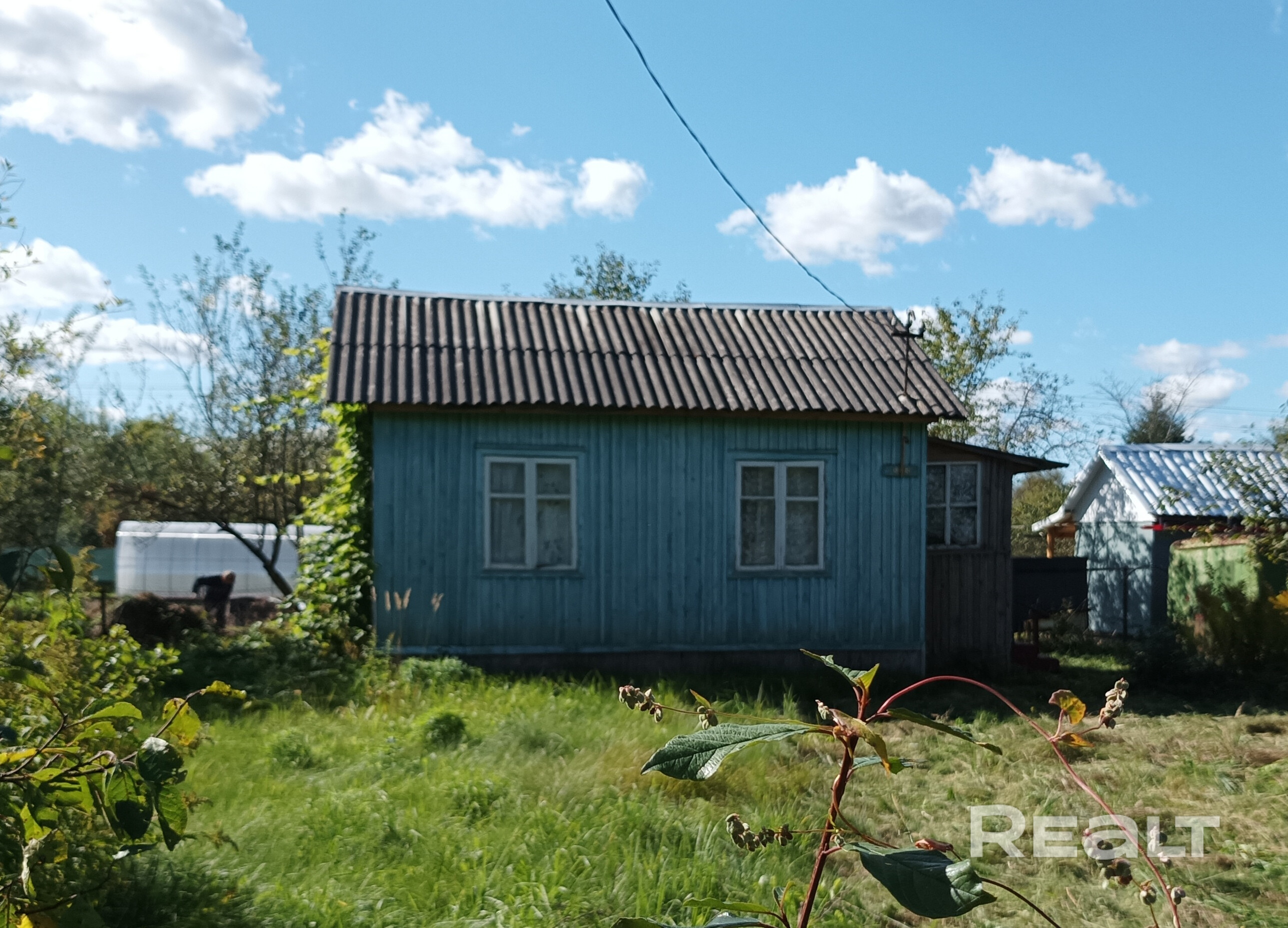 СТ Ромашка 84...6 улица...134 уч...Чистая продажа,от электрички 15-20 ходьбы...1,5 км от асфальтовой дороги...15 мин пешком до магазина ДорОрс...150 метров от пляжа...реки Талька и Свислочь...грибы ягоды рыбалка - Ansicht 3