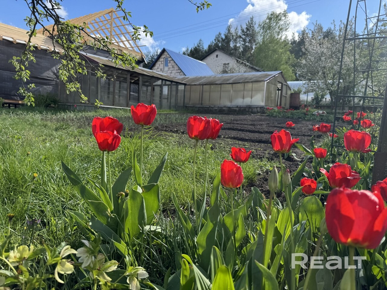 Продается дачный дом, способный пробудить в вас чувство гармонии между современным комфортом и нетронутой красотой природы! - Ansicht 6