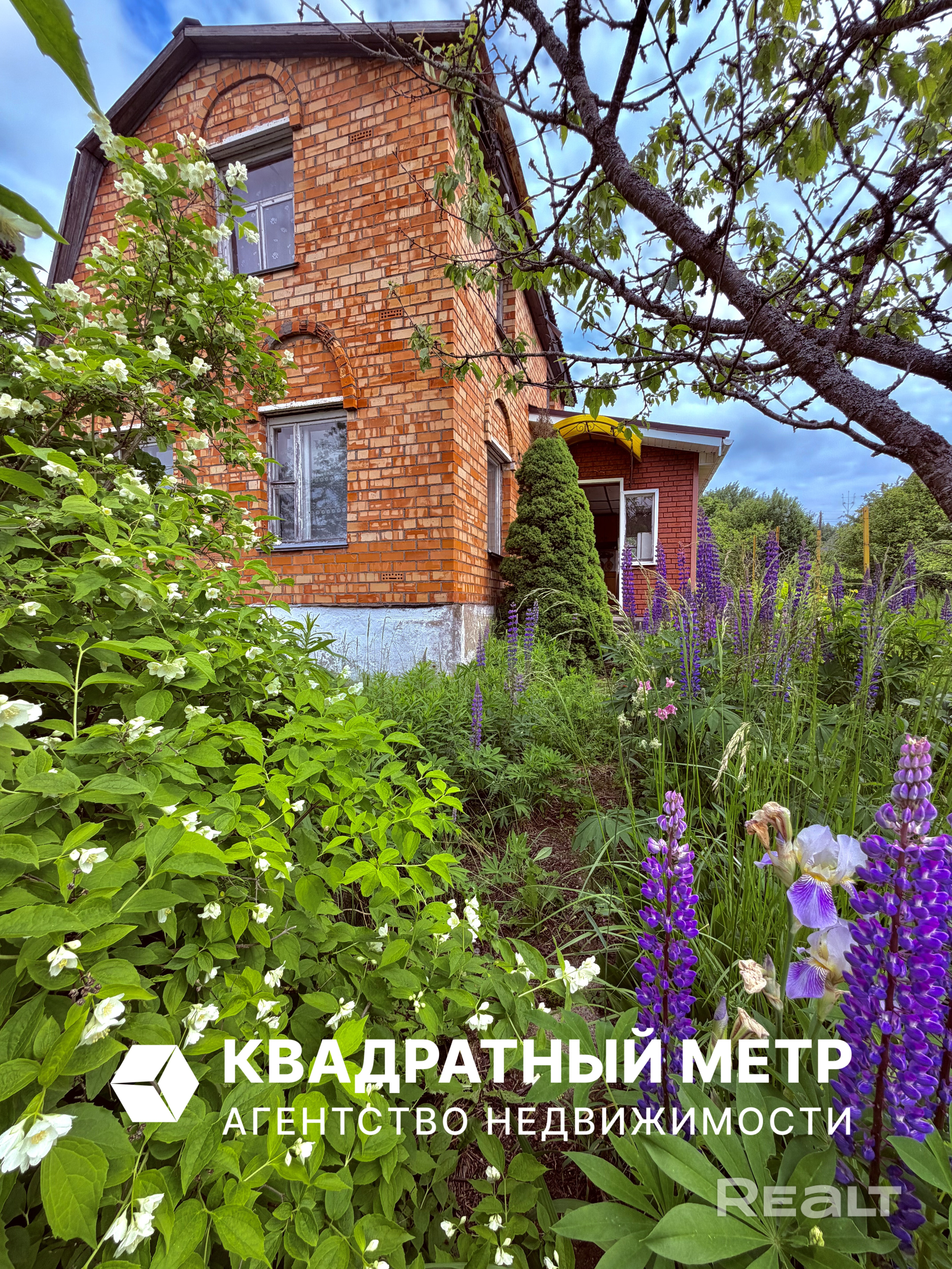 Продается дача в окружении леса в СТ Тонус. - Widok 2