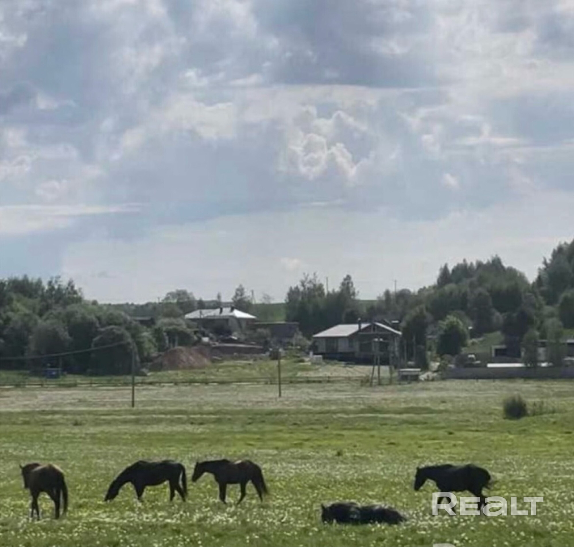 Дом расположен на хуторе маленькой деревни с видом на луга с пасущимися лошадьми. – další