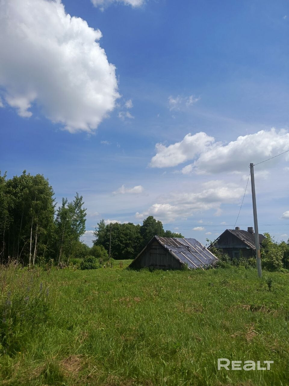 Продаётся участок 34 сотки в д. Ребрище, Логойский р-н - Ansicht 4