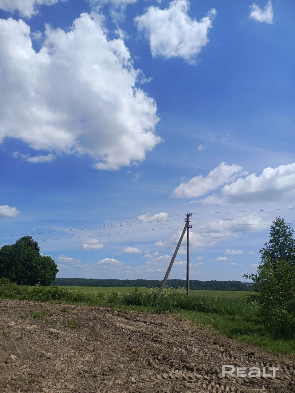 Продаётся участок 34 сотки в д. Ребрище, Логойский р-н - Ansicht 5