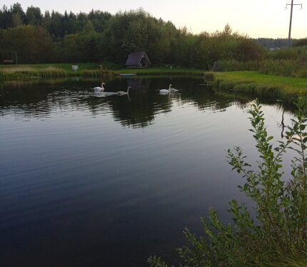 Баня на дровах 90 км от Минска. Есть большая беседка, мангал комната отдыха.