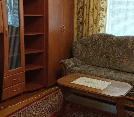 Просторная однокомнатная квартира