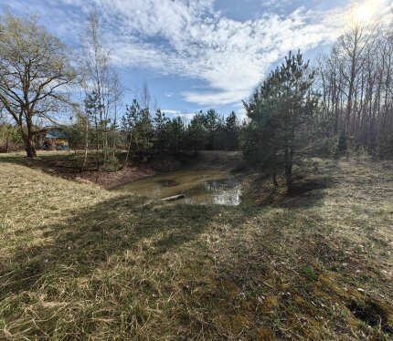 Возле леса, соседей нет. На участке водоем и залит фундамент