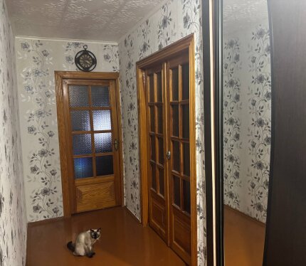 Фотография объекта