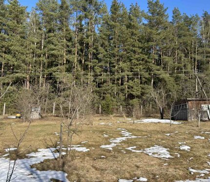 12 соток мечты в 50 км от Минска! СТ "Журавинка".