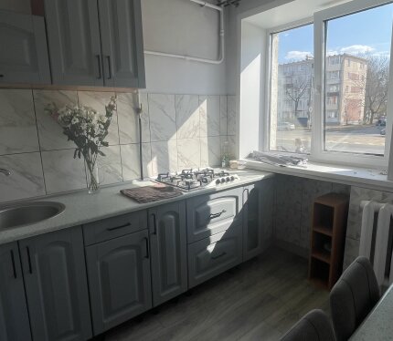 Продается квартира на первой линии домов, отличный потенциал для перевода в нежилой фонд(отдельный вход возможен со стороной улицы)