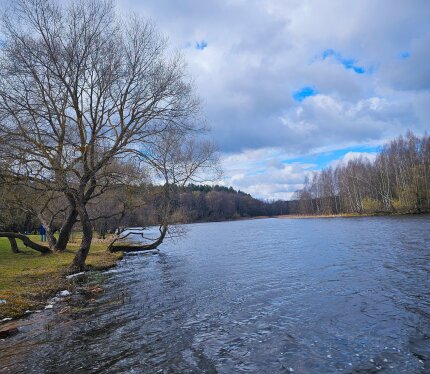 Продаётся ровный, сухой земельный участок правильной формы площадью 14 соток в престижном садовом товариществе "Озерный берег". Участок граничит с лесом, в 600 метрах - благоустроенный пляж реки Вяча. Все необходимые коммуникации ( электричество, водопровод, газ). Территория огорожена, видеонаблюдение, асфальтированные дороги, освещение, в пешей доступности остановка. Это лучшее предложение для строительства уютно дома в экологически чистом месте! Документы готовы к сделке. Один собственник.