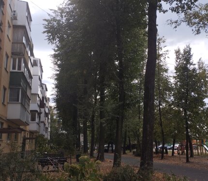 Фотография объекта