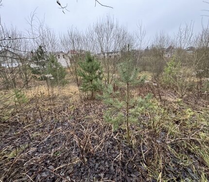 Фотография объекта