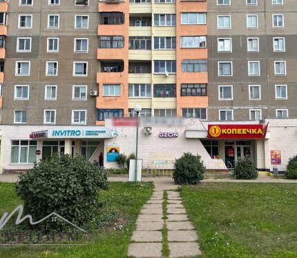 Торговое помещение 102,5 м2, пр-т Шмидта, 54А