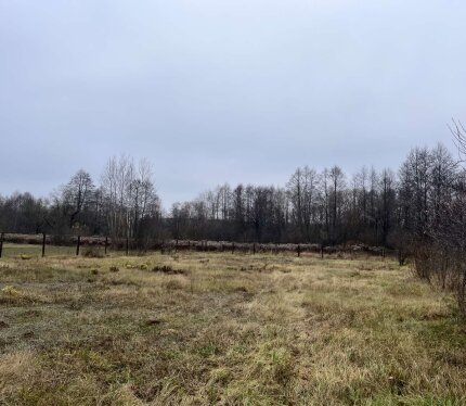 Участок для тех, кто любит жить максимально приближенно к зелёной зоне и водоёму!