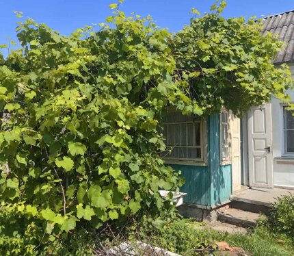 Фотография объекта