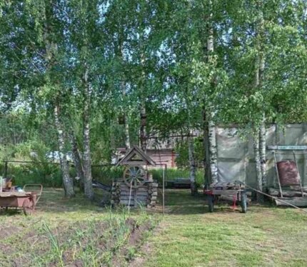 Живописное место в садовом товариществе "Ведрица".