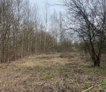 Участок в  д. Клыповщина, ул. Центральная