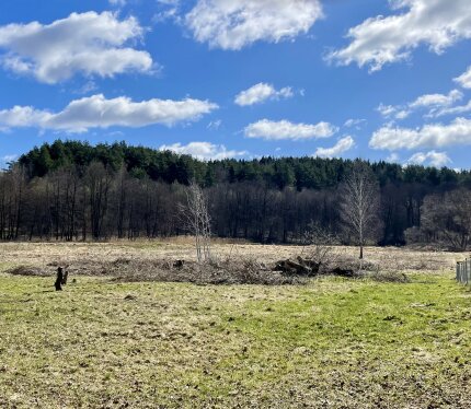 Продаётся участок 18,81 сотки в живописном Логойском направлении! Соседи только с одной стороны, вид на лес, есть взрослые деревья. Участок ровный, крайний, границы установлены, разрешение на строительство получено. Асфальт до участка, автобус в Минск 4 раза в день. Рядом лес, комплекс «Акваптич» (рыбалка, баня, магазин). Все документы в порядке. Участок куплен с аукциона, первый владелец, не требует построек для продажи. Продаёт собственник.