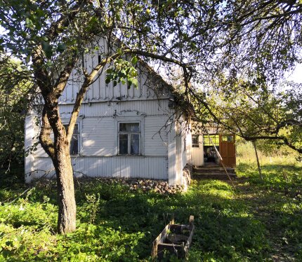 Жилой дом в деревне. Одна спальня, кухня, веранда, холодная пристройка. Печное отопление. Вода в колодце. На участке две постройки из семи сараев, туалет. Есть сад с фруктовыми деревьями. Рядом лес, озеро. 