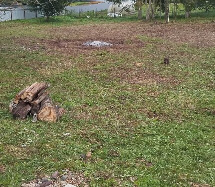 Продам участок 10 соток недалеко от Минска. СТ "АЛЕСЯ", Демидовский с/с, Фанипольский р-н.Участок #209. Форма собственности частная. Хорошие подъездные пути Многие живут круглогодично. 25 км от МКАД, Строений нет. Электричество и газ по улице. Цена договорная.