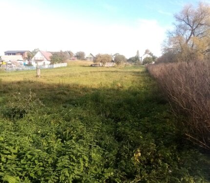 Продается участок в 10 мин езды от МКАД, по Могилевскому направлению.