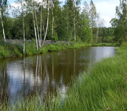 Продам участок СТ «Металлург» 5.5 соток, Минский район.