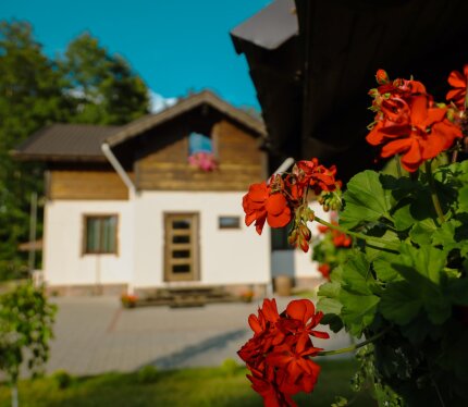 Объявление