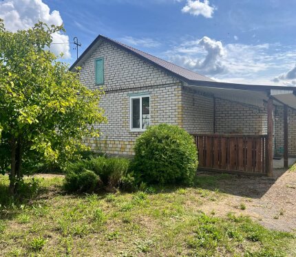 Продажа дома, д. Алекшицы, ул. Центральная