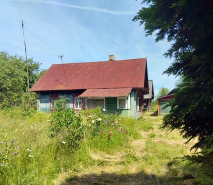 Уникальное место с нетронутой природой в деревне Белое.