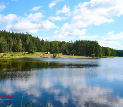 Эксклюзивный земельный участок 15 соток на берегу озера «Полоневичское» в окружении соснового леса!
