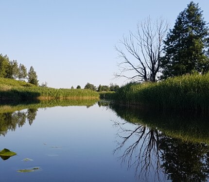 Сдаётся дом на берегу реки Друйка сроком от двух недель. Находится в 1км от Слободки и 10км от Браслава. Прекрасное место для отдыха и рыбалки. Вокруг лучшие озера Беларуси: Снуды, Струсто, Волосо, Недрово. Свой подход к реке, широкая кладка (путёвка от Нацпарка не нужна). Первая береговая линия. Река известна изобилием видов рыб: линь, окунь, щука, лещ, плотва, красноперка, угорь и др. Леса богаты грибами и ягодами. В доме есть электричество, вода, канализация, санузел. Беседка, яблоневый сад.