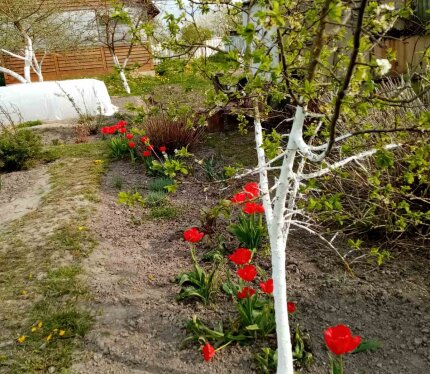 Фотография объекта